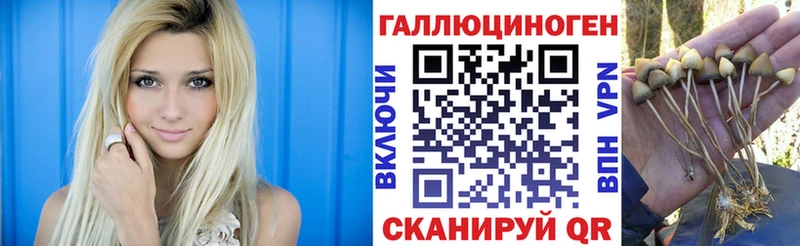 Псилоцибиновые грибы мухоморы  Бакал 